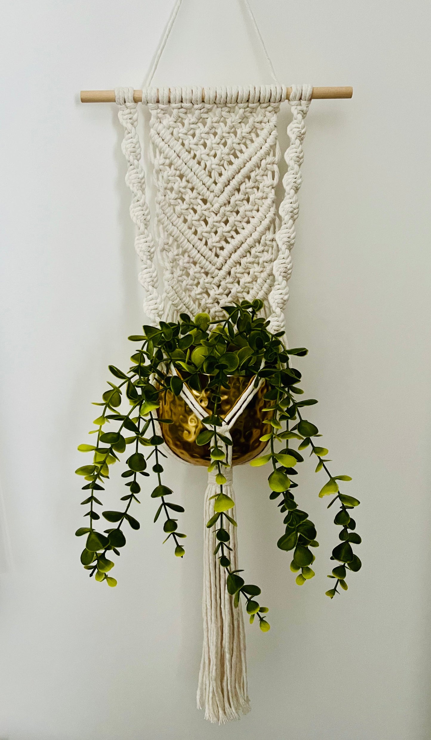 Macramé wall hanging plant holder against a white wall