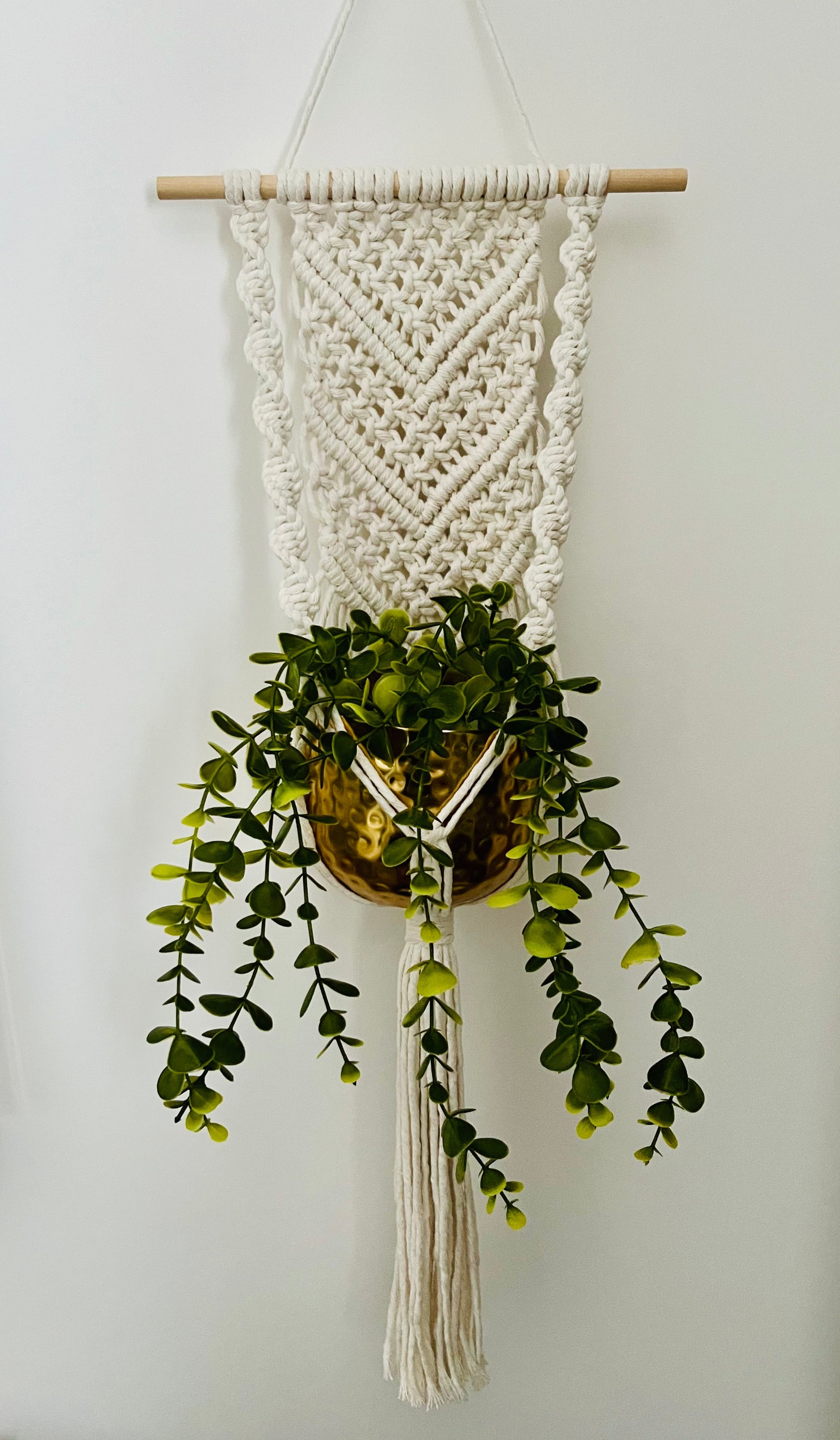 Macramé wall hanging plant holder against a white wall