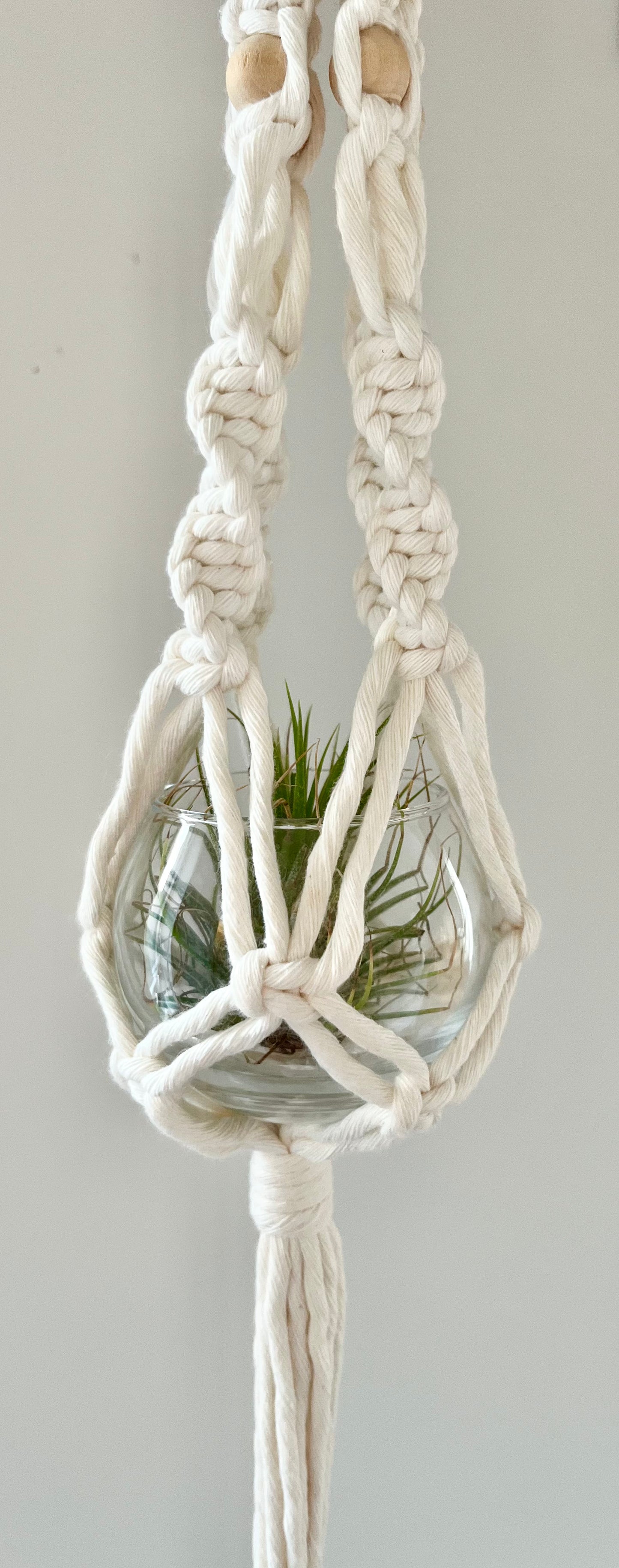 Macrame mini plant hanger with a glass container holding an air plant against a plain background