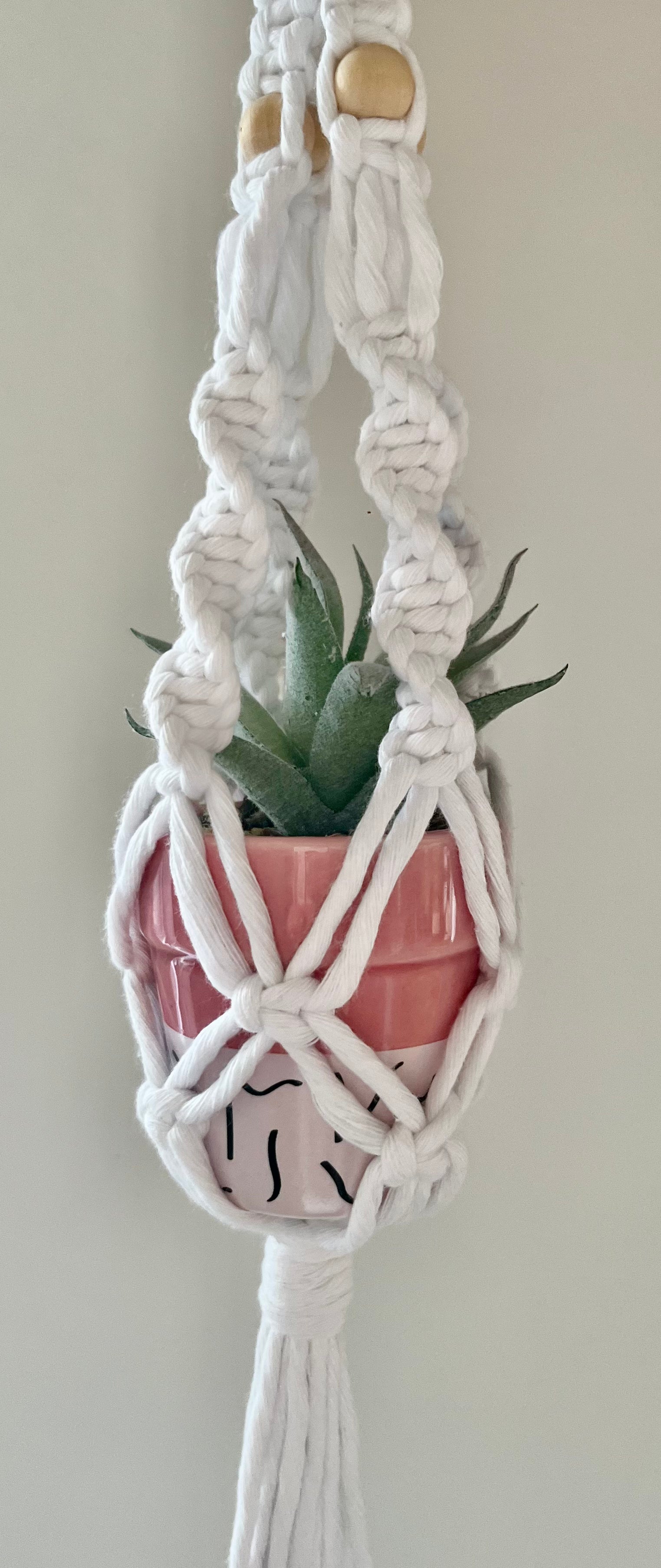 Macrame mini plant hanger with a pink pot and succulent on a plain background