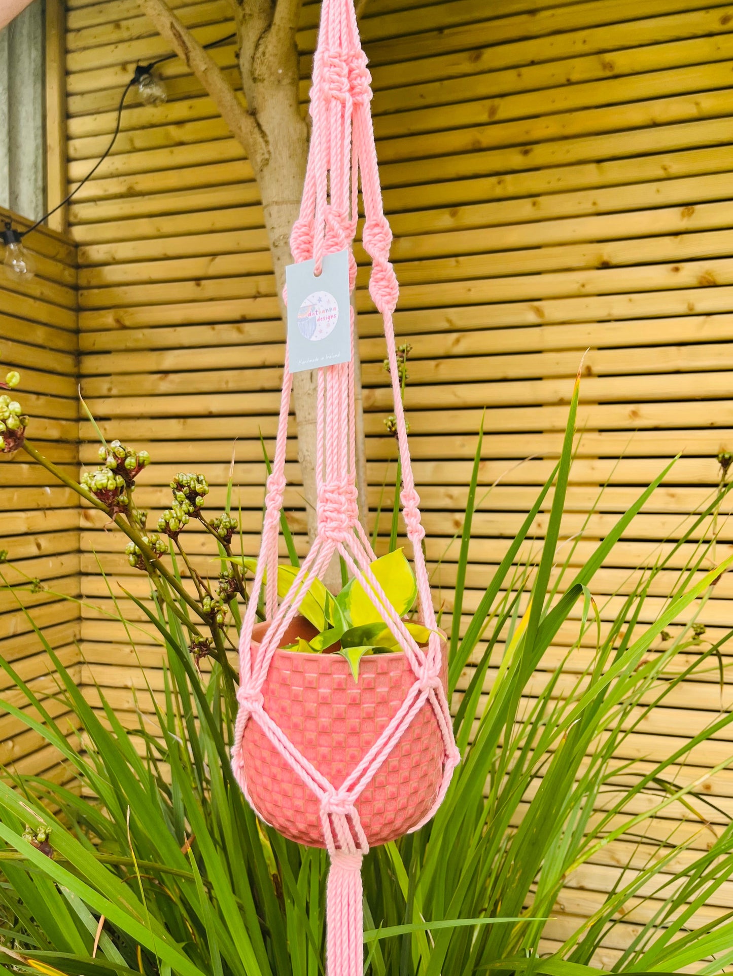Pink macramé plant hanger with a pink pot and plant against wooden cladding